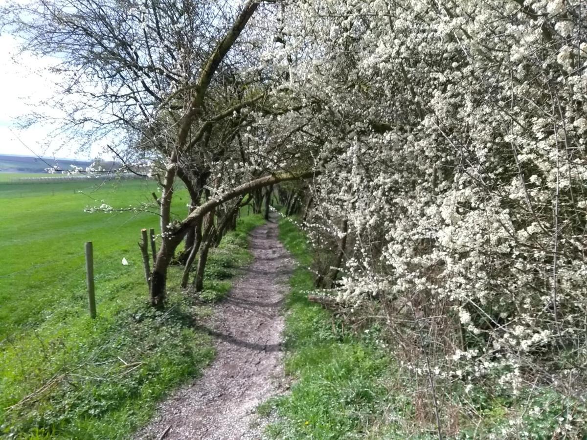 Saffier Zuid-limburg Casa de férias *