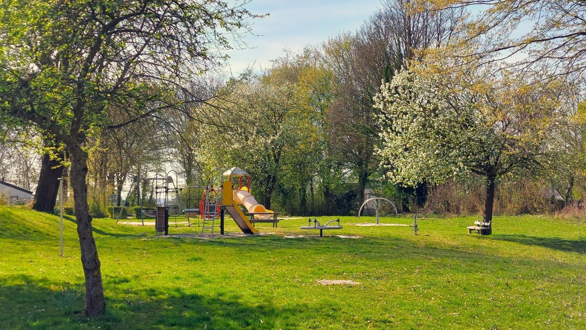 Saffier Zuid-limburg *